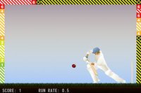 Little Master Cricket screenshot, image №2053264 - RAWG