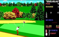 World Class Leader Board Golf screenshot, image №337946 - RAWG