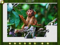 1001 Jigsaw. Wild Animals screenshot, image №3949391 - RAWG