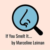 If You Smelt It... screenshot, image №3641927 - RAWG