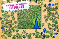 Jigsaw Puzzle: Create Pictures with Wood Pieces screenshot, image №2085377 - RAWG