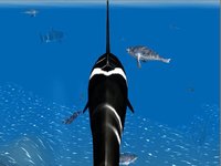 Orca Whale Simulator screenshot, image №935762 - RAWG