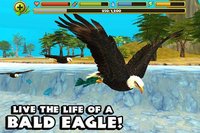 Eagle Simulator screenshot, image №2103706 - RAWG