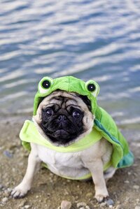 Just a test (Pug Hut Studios) screenshot, image №3228071 - RAWG