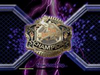 Ultimate Fighting Championship screenshot, image №742451 - RAWG