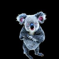 Undead Koalas Attack! screenshot, image №3811416 - RAWG