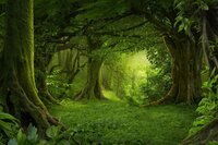 Escape from Faerie screenshot, image №3144037 - RAWG