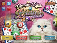 Glamour Puss Bingo FREE screenshot, image №1395476 - RAWG