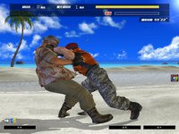 Dead or Alive Online screenshot, image №480165 - RAWG