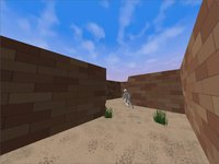 Maze Race screenshot, image №1244722 - RAWG