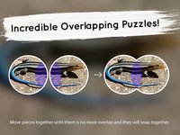 Venn Lizards: Jigsaw Puzzle screenshot, image №1788559 - RAWG