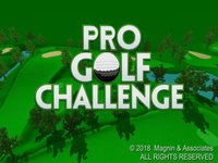 Pro Golf Challenge screenshot, image №2066840 - RAWG