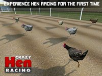 Hen Racing Simulator - Race Free Range Chickens screenshot, image №1818960 - RAWG