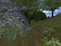 Dark Age of Camelot: Shrouded Isles screenshot, image №369113 - RAWG