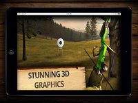 Archery Champion PRO (ADS FREE) 3D Bow Tournament Master, Sport Shooting Game screenshot, image №2067418 - RAWG