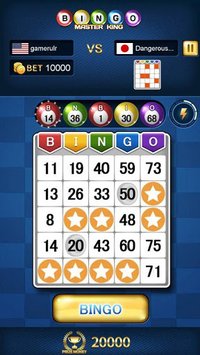 Bingo Master King screenshot, image №1578902 - RAWG