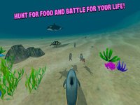 Sea Simulator: Dolphin 3D screenshot, image №1333267 - RAWG