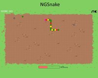 NGSnake screenshot, image №2270819 - RAWG