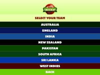 Touch Cricket screenshot, image №2454052 - RAWG