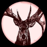 Deer Hunting Unlimited screenshot, image №2090398 - RAWG