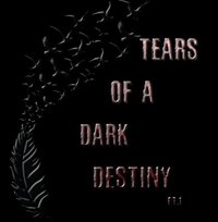 Tears of a Dark Destiny screenshot, image №2286087 - RAWG