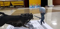 AR Survival screenshot, image №1666096 - RAWG