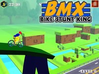 BMX Bike Stunt Race screenshot, image №2099288 - RAWG