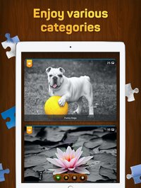 Jigsaw Puzzles for You screenshot, image №882330 - RAWG