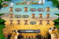 Flamingo Safari Slots FREE screenshot, image №1397327 - RAWG