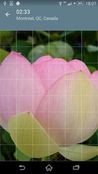 Jigsaw Puzzle: Flowers screenshot, image №1497470 - RAWG