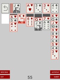 Championship Solitaire screenshot, image №2132505 - RAWG