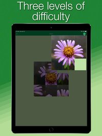 Language of Nature screenshot, image №1996476 - RAWG
