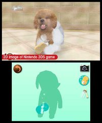 nintendogs + cats: Toy Poodle & New Friends screenshot, image №259729 - RAWG