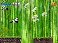 Panda Run In The Jungle Free - Can You Hop To The Finish? screenshot, image №953154 - RAWG