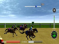 Ultimate Horse Racing:3d screenshot, image №973638 - RAWG