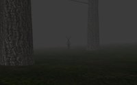 Trapped in the Forest screenshot, image №1527577 - RAWG