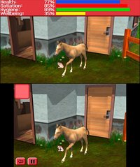 My Vet Practice 3D - In the Country screenshot, image №796441 - RAWG