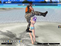 Dead or Alive Online screenshot, image №480227 - RAWG