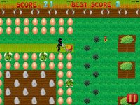 Ninja Lawn Mowing Madness screenshot, image №1944448 - RAWG
