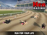 Hen Racing Simulator - Race Free Range Chickens screenshot, image №1818959 - RAWG