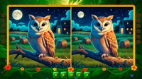 BirdQuest Find the Difference screenshot, image №4222542 - RAWG