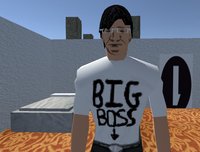 Kojima's Day Out screenshot, image №1239004 - RAWG
