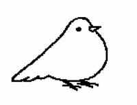 Bird Creator screenshot, image №2264054 - RAWG