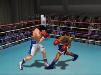 Victorious Boxers 2: Victorious Road screenshot, image №3943807 - RAWG