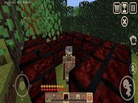 Block World Craft Survival screenshot, image №933950 - RAWG