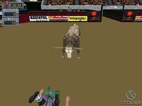 Professional Bull Rider 2 screenshot, image №301904 - RAWG