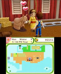 Harvest Moon: Skytree Village screenshot, image №266574 - RAWG