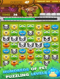 Super Pet Frenzy screenshot, image №918116 - RAWG