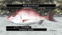 Reel Fishing Ocean Challenge screenshot, image №792337 - RAWG