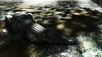 Jungle Hostages screenshot, image №2154412 - RAWG